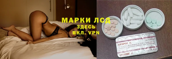 мяу мяу мука Аркадак