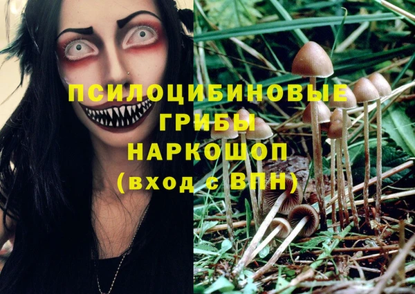 соль курить ск Арсеньев
