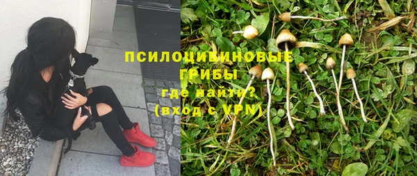 мет Армянск