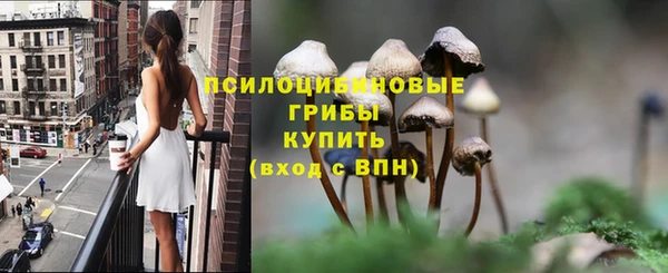 мяу мяу мука Аркадак